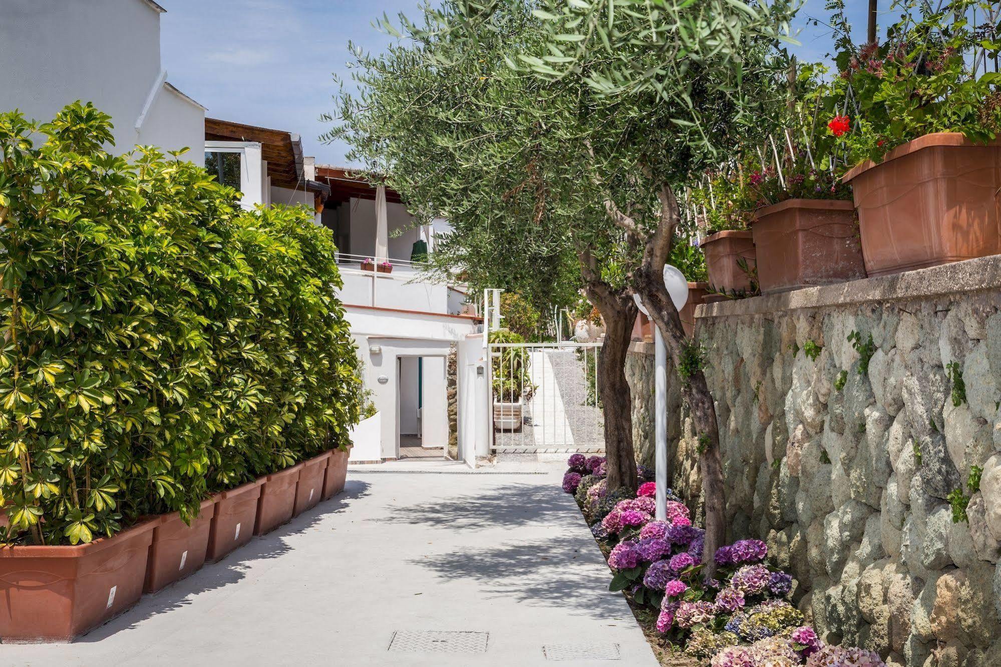 Relais Romildanna Bed & Breakfast Forio  Exterior photo
